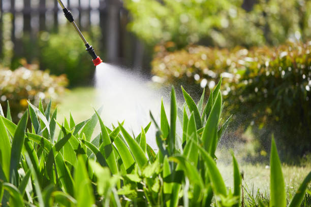 24/7 Emergency Mosquito Control experts in Oneonta, NY