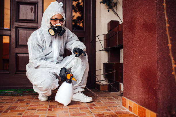 Reliable Mosquito Control contractor in Oneonta, NY by Show Me Pest Control